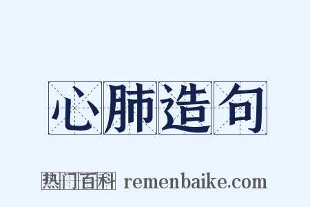 心肺造句是什么意思的图片
